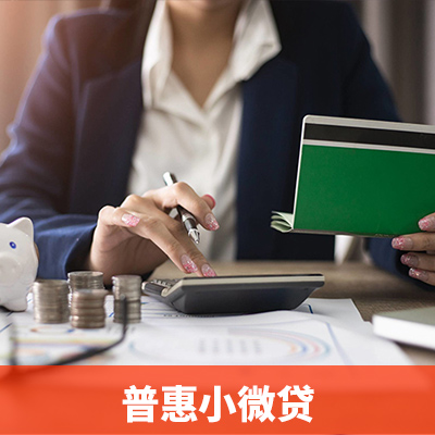 普惠小微貸